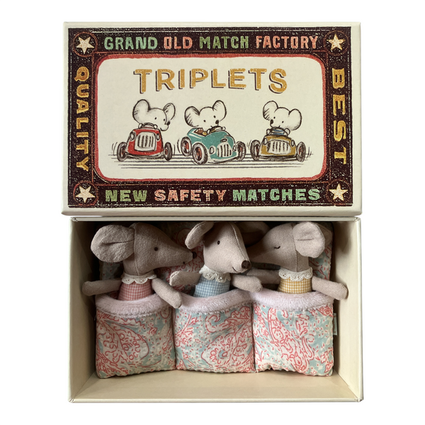 Triplets Baby mice in matchbox