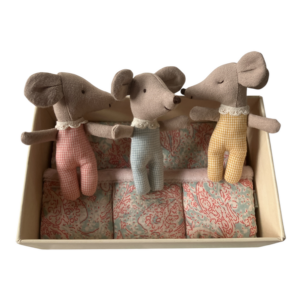 Triplets Baby mice in matchbox