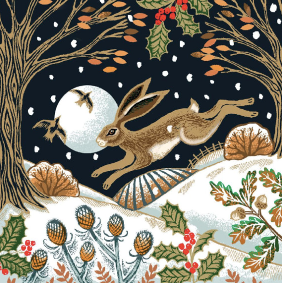 12 Charity Cards Midnight Hare & Robin