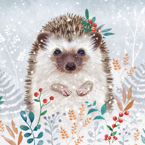20 Charity Cards Festive Forest