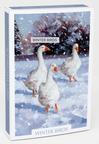 20 Assorted Cards Winter Birds