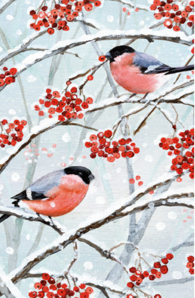 20 Charity Cards Birds and Berries