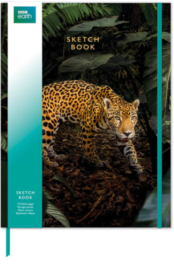 Jaguar Sketch Book