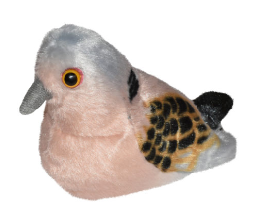 Birds - Turtle Dove