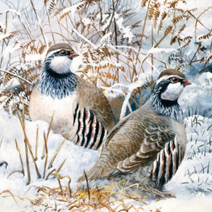 Partridge in the Snow