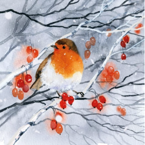 Robin, Snow and Berries