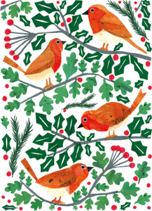 Robins in Holly Tree