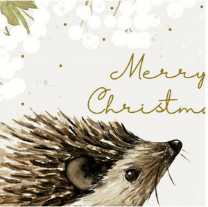 Merry Christmas Hedgehog