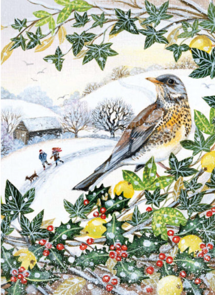 16 Charity Cards Winter Hedgerows
